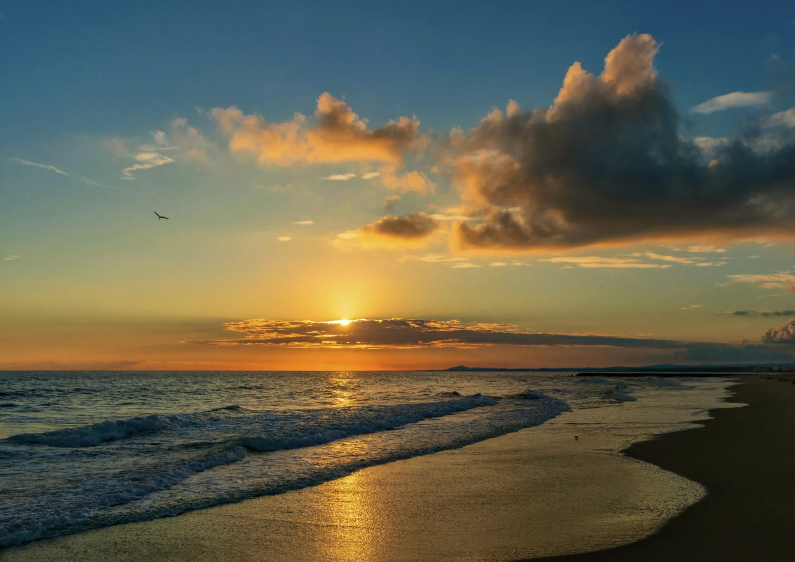 Golden sunset across a beach shoreline